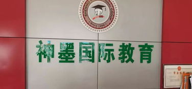 校外培訓(xùn)機(jī)構(gòu)整治工作有喜有憂，文化藝術(shù)交流活動策劃如何助力教育生態(tài)優(yōu)化